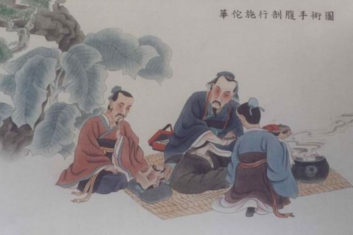Ancient Chinese Surgeons Used Wolfsbane as Anesthesia - Image 2