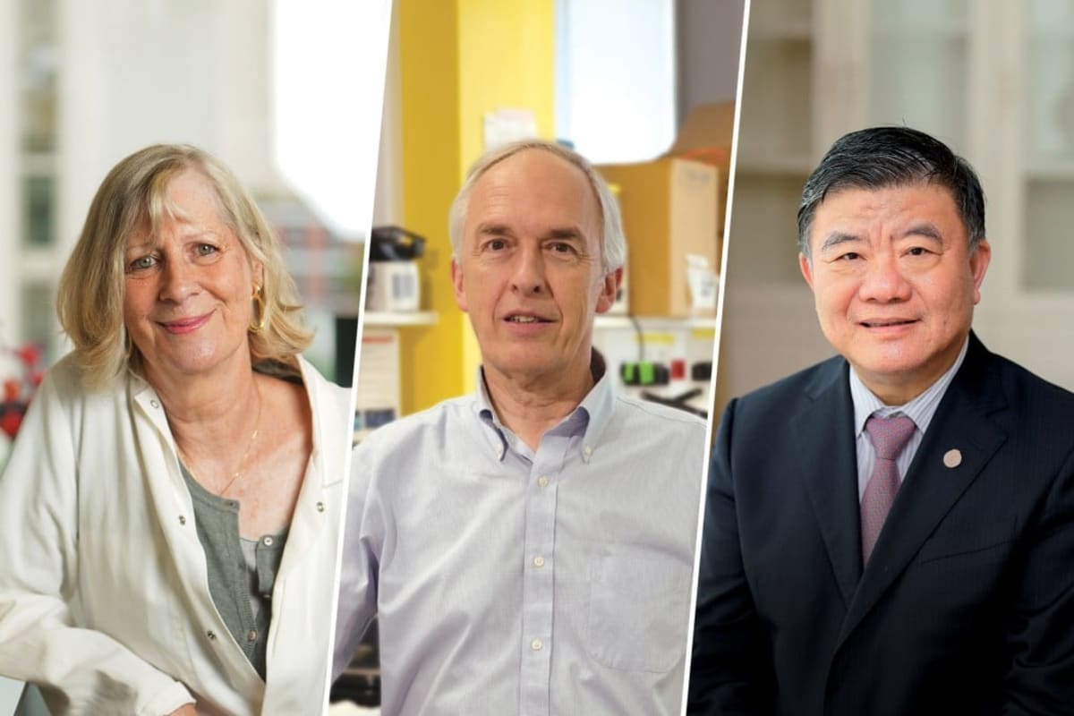 Deadly Blood Cancer Now 90% Curable Through Global Team - Image 2