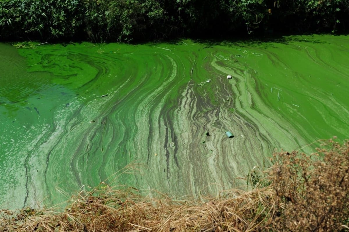 China Ties Officials' Careers to Environmental Protection - Image 2