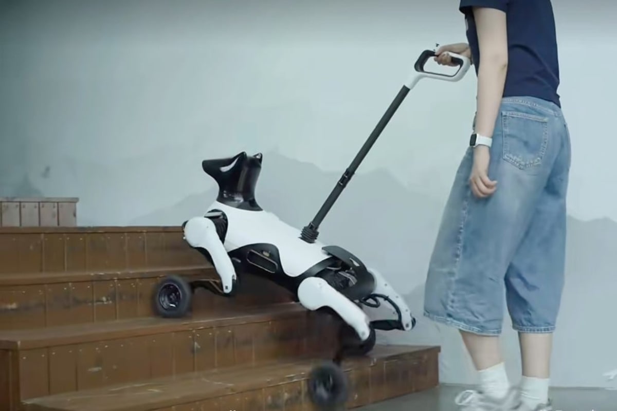 China Unveils Robot Guide Dog for Visually Impaired - Image 2