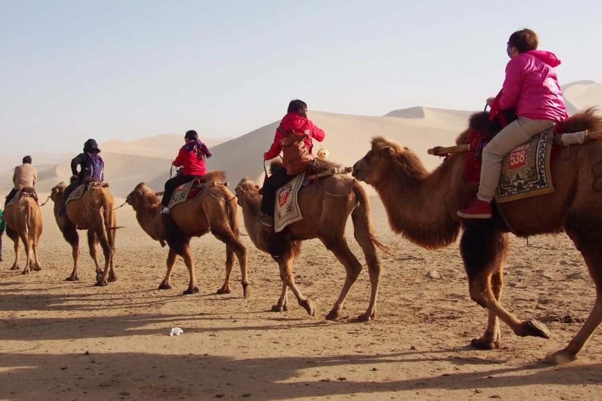 Central Asia's Ancient Food Exchange Shaped Modern Cuisine - Image 2