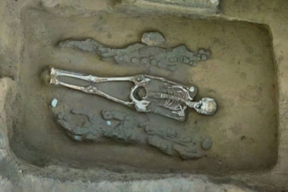China Finds Oldest Dragon-Phoenix Pairing, 4,300 Years Old - Image 2
