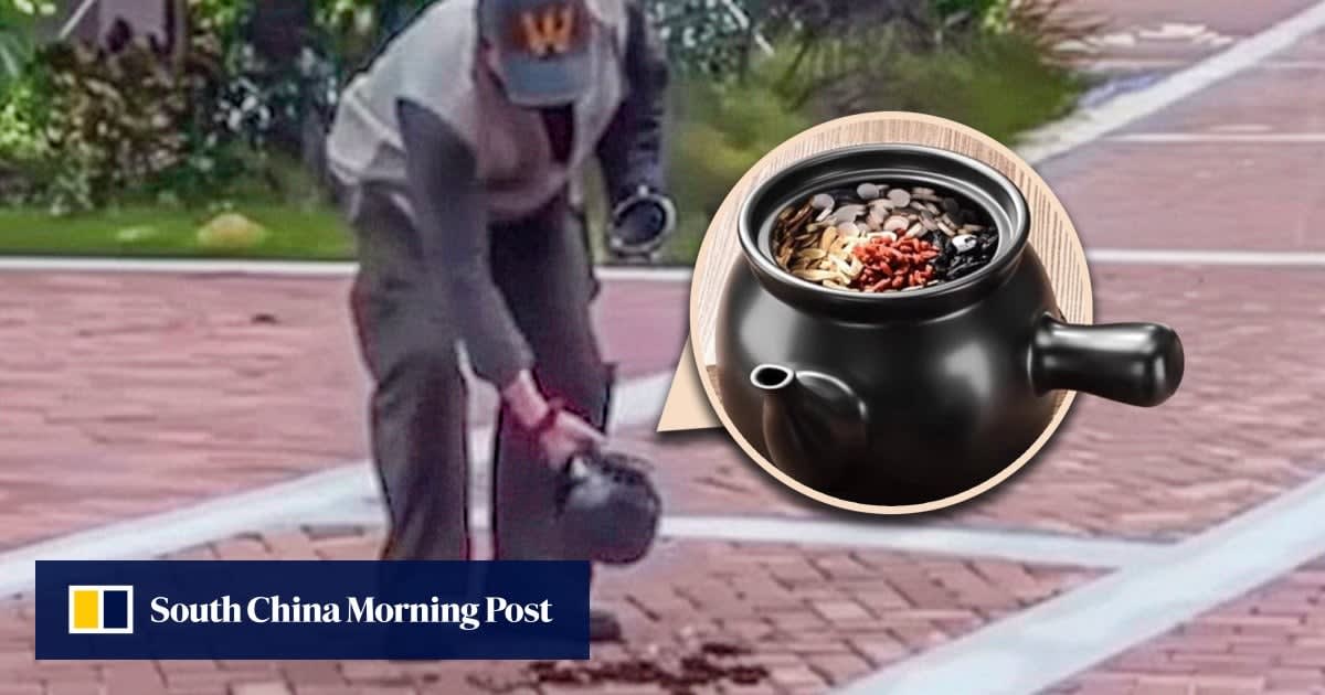 Dark liquid and scattered herbal medicine remnants visible on paved road surface in China