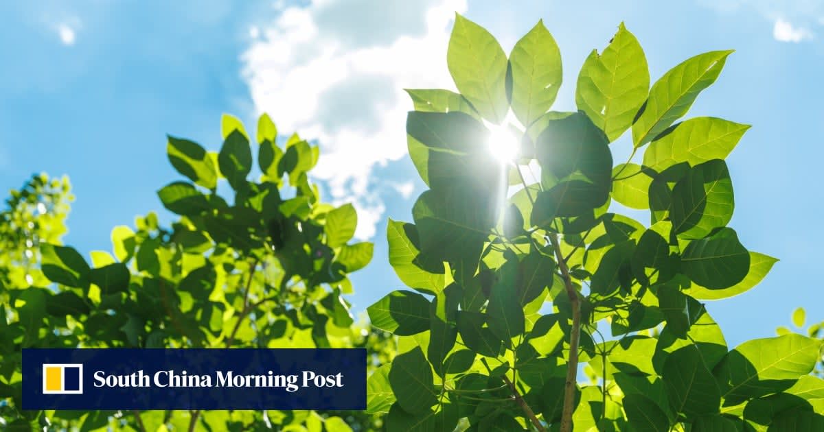 Microscopic view of glowing nanoparticles inside animal cells performing photosynthesis to restore health