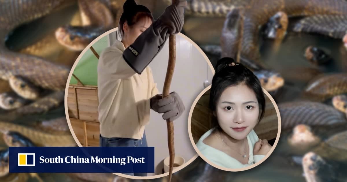 Woman Raises 60,000 Venomous Snakes, Earns $146K Annually