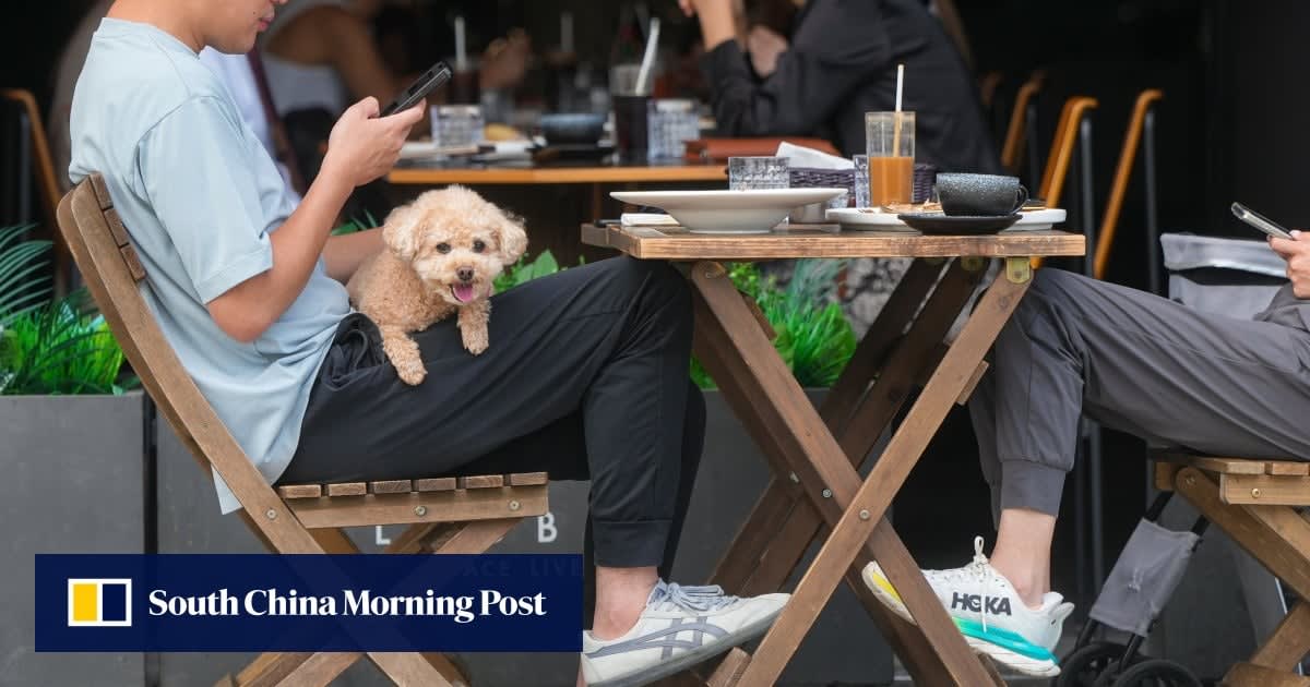 Hong Kong Opens Dog-Friendly Restaurant Program in May
