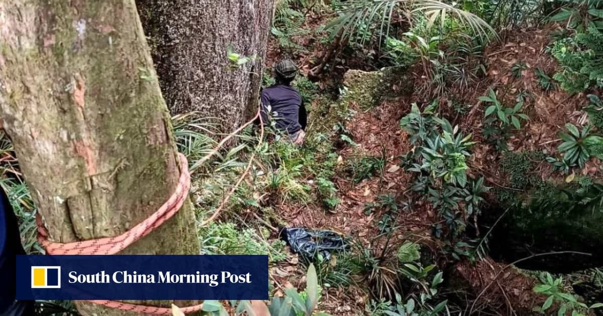 Malaysian Hiker Survives 2 Weeks Lost in Mountain Forest