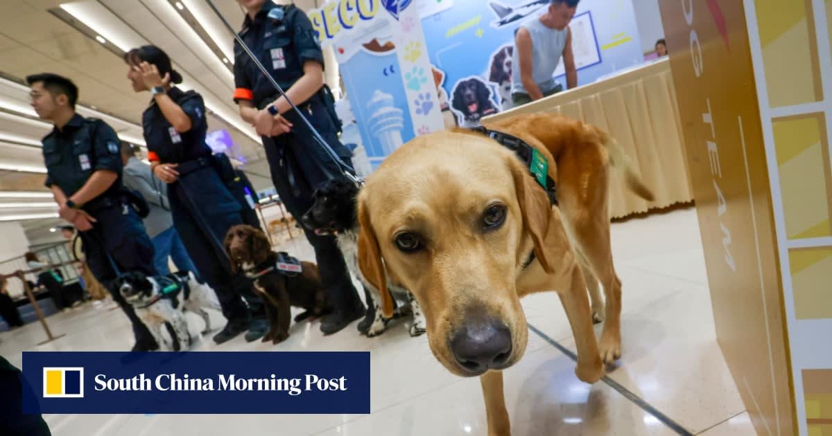Hong Kong Airport's 20 Detection Dogs Now Guard Terminal 2