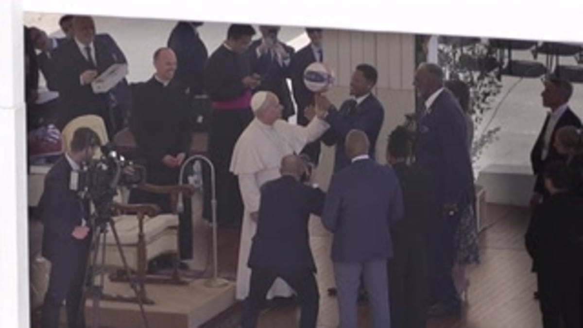 250 Rescued Dogs Get Second Chance After RSPCA Saves Them - Image 3