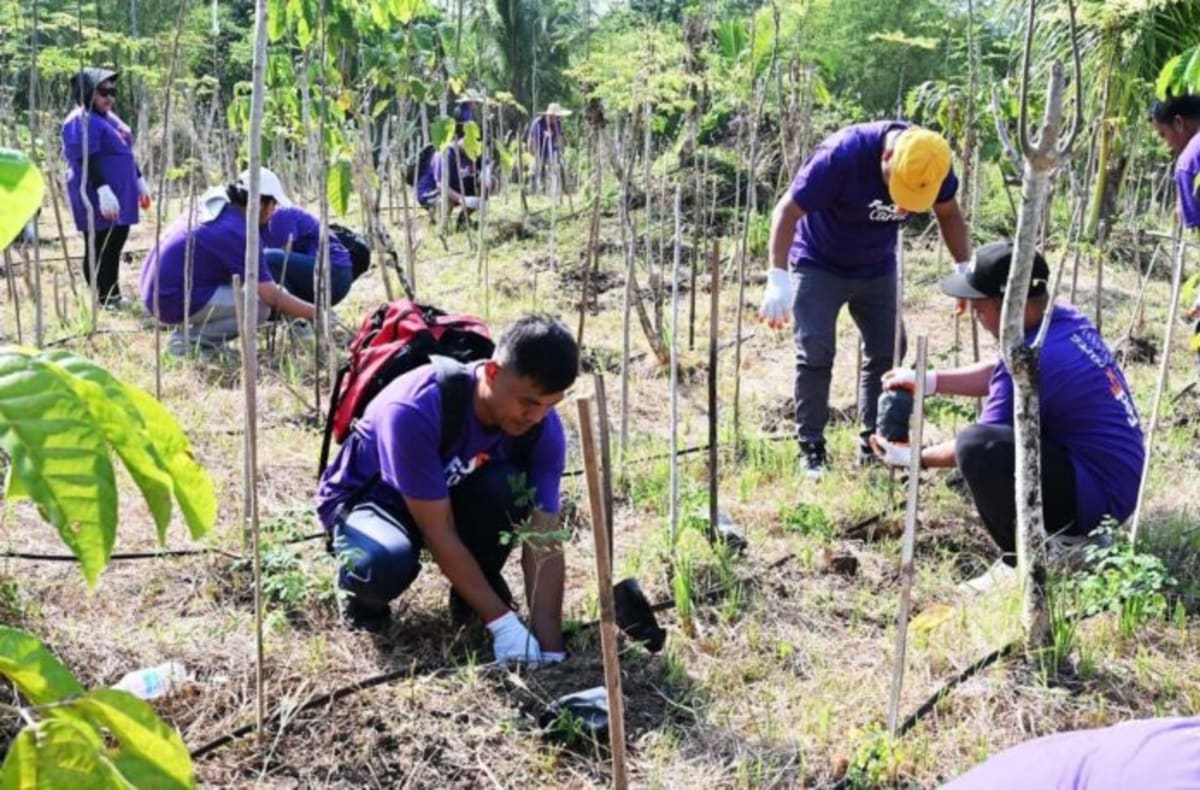 FedEx Volunteers Plant 2,000 Trees in Philippines - Image 3