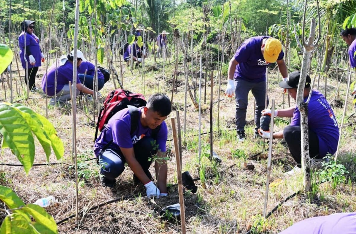 FedEx volunteers planting rows of young malunggay trees on mountainside in Philippines