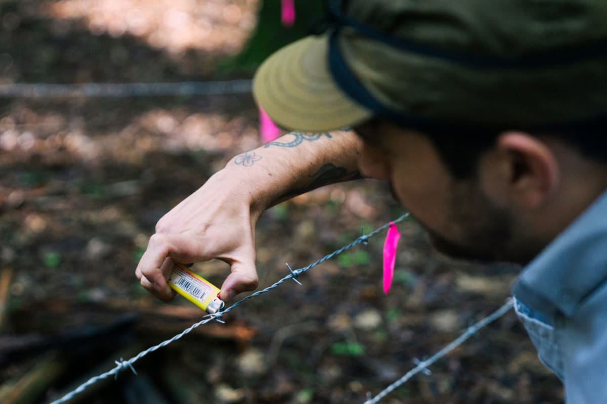 Mississippi Team Counts Connecticut Bears With DNA Magic