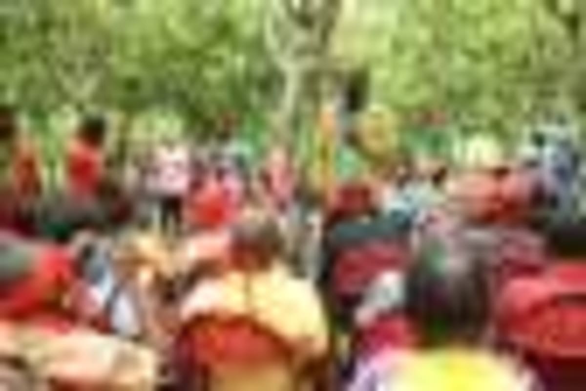 250-Million-Year-Old Egg Solves Ancient Mammal Mystery - Image 4