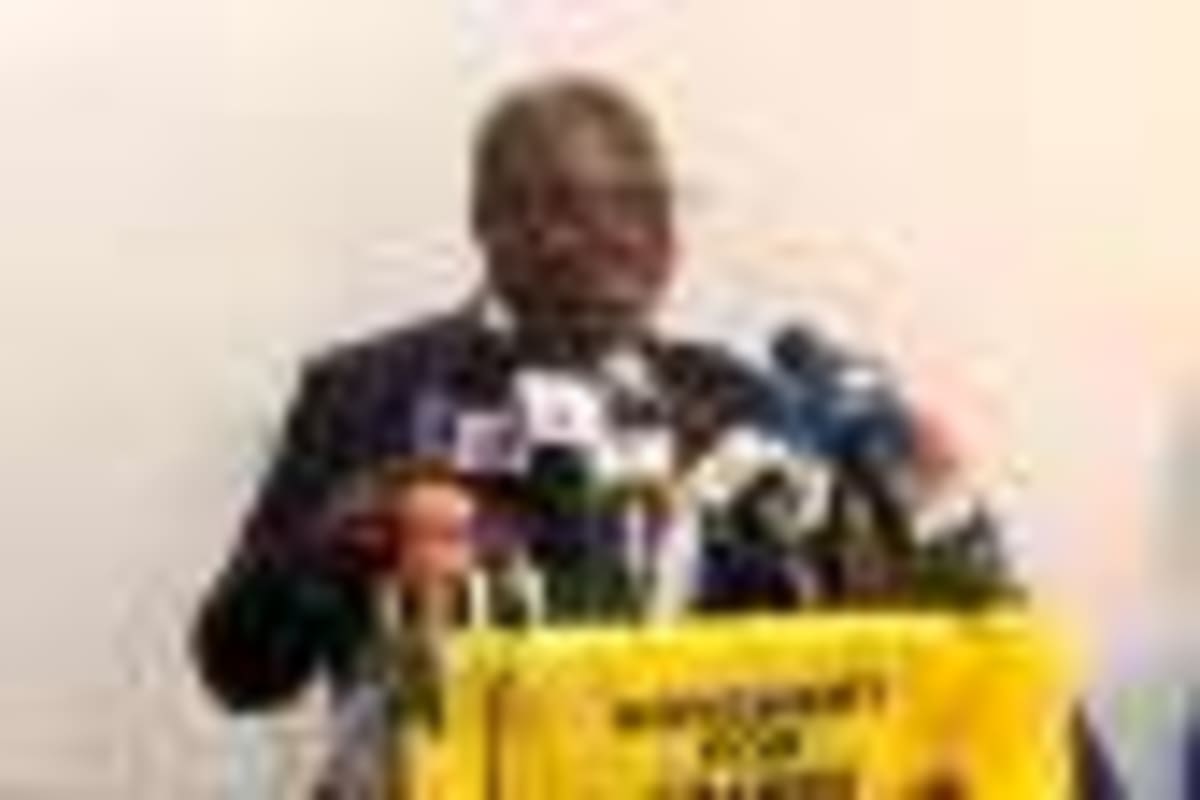 250-Million-Year-Old Egg Solves Ancient Mammal Mystery - Image 5