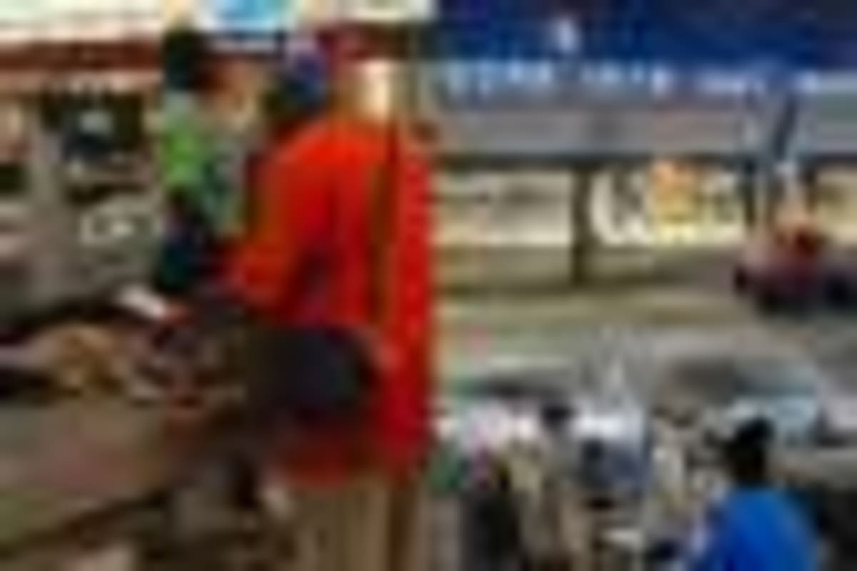 Ghana's Chicken Program Cuts Imports, Creates Jobs - Image 4