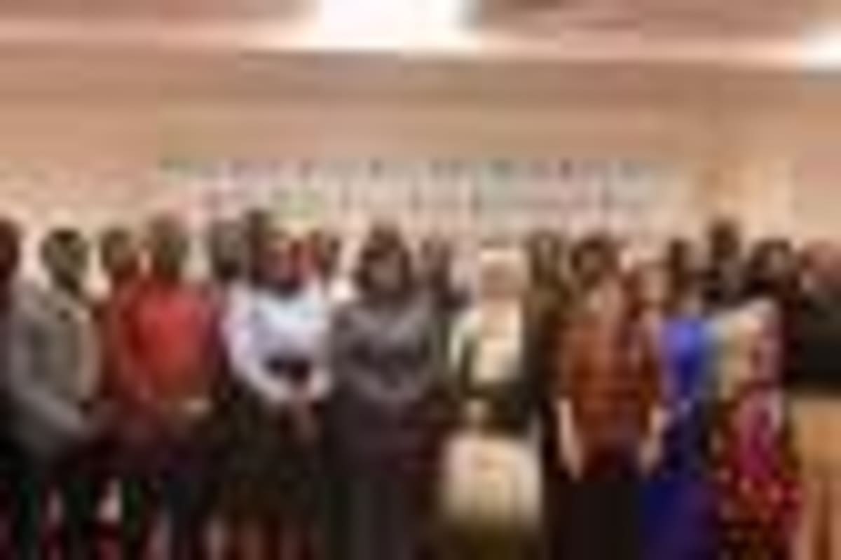Ghana's Diaspora Ready to Invest Billions in Homeland - Image 3