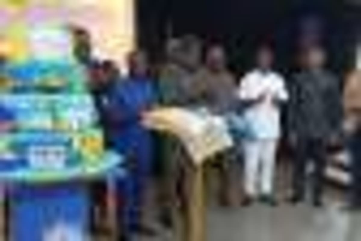 Ghana Names Dr. Zanetor Agyeman-Rawlings Environment Minister - Image 5