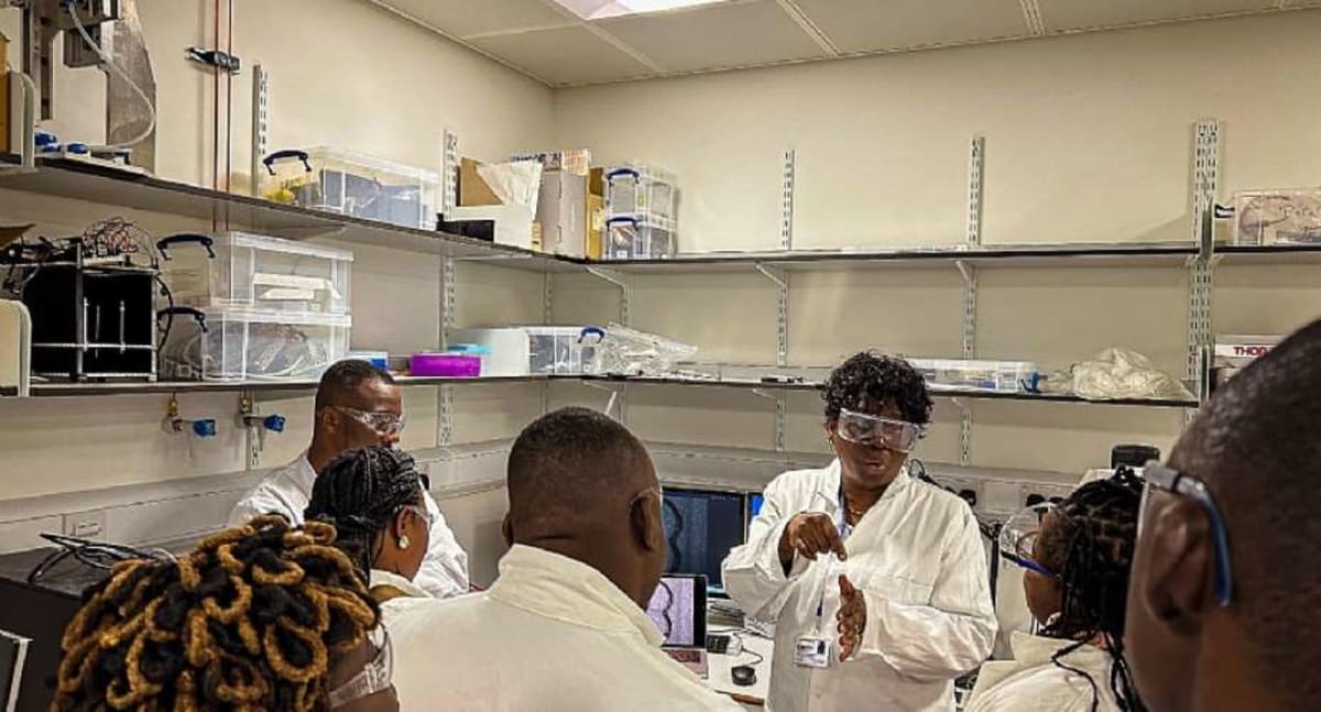 Ghana Scientist Uses AI Chip to Speed Up Drug Discovery - Image 2