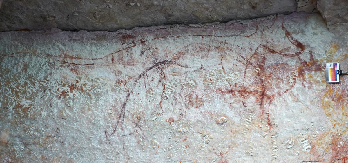Ancient Rock Art Shows Tasmanian Tigers Lived 2,000 Years Longer - Image 3
