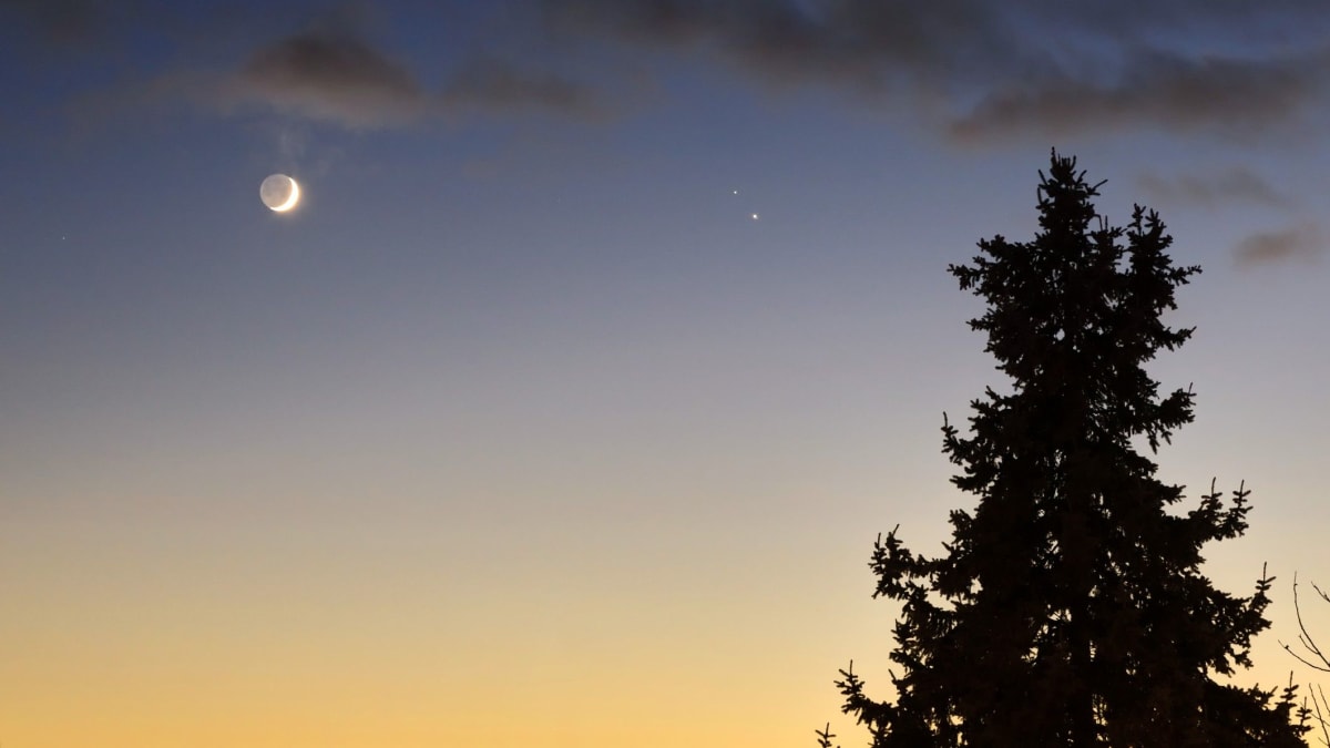 ** Crescent moon shining near Saturn and Jupiter in dark early morning sky