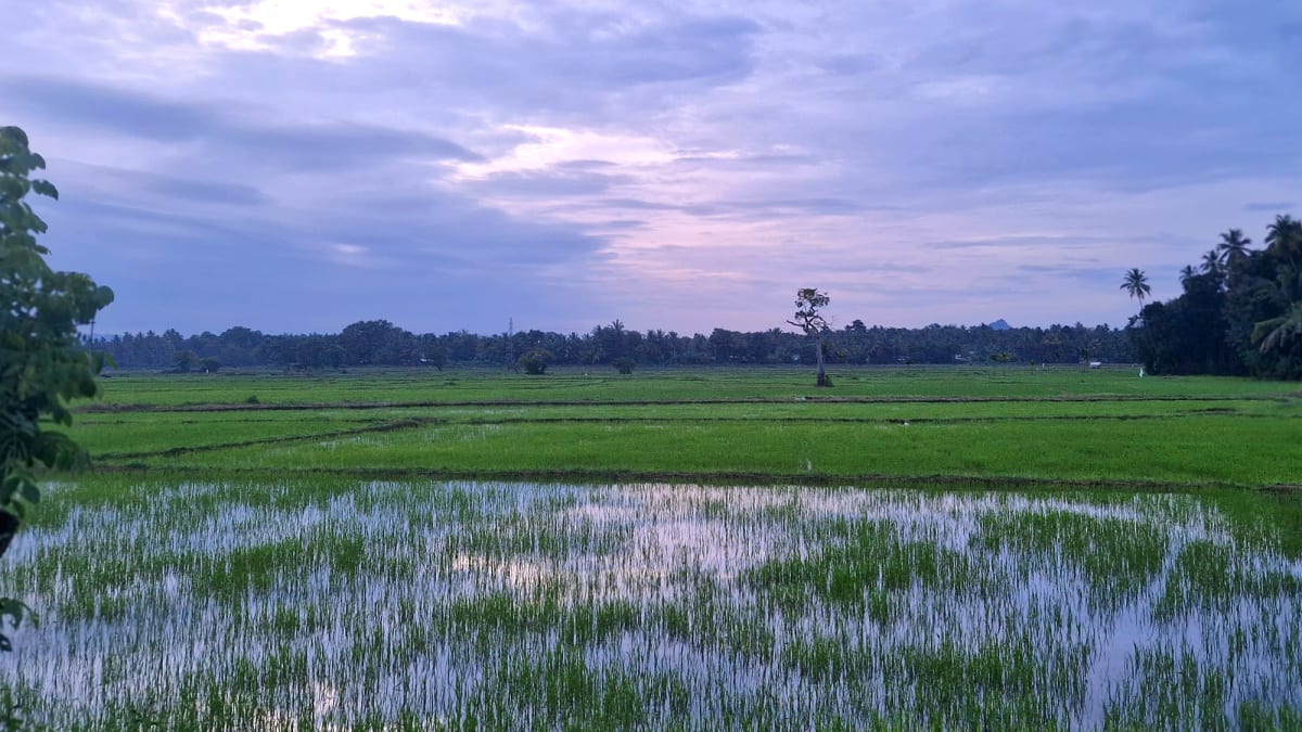 Ancient Sri Lankans Made Super-Steel Using Monsoon Winds