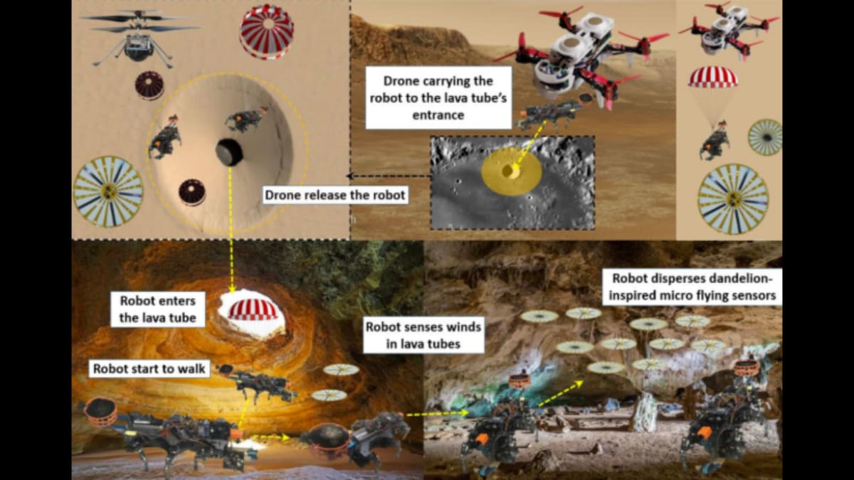 Scientists Design Tiny Dandelion Drones to Map Mars Caves - Image 5
