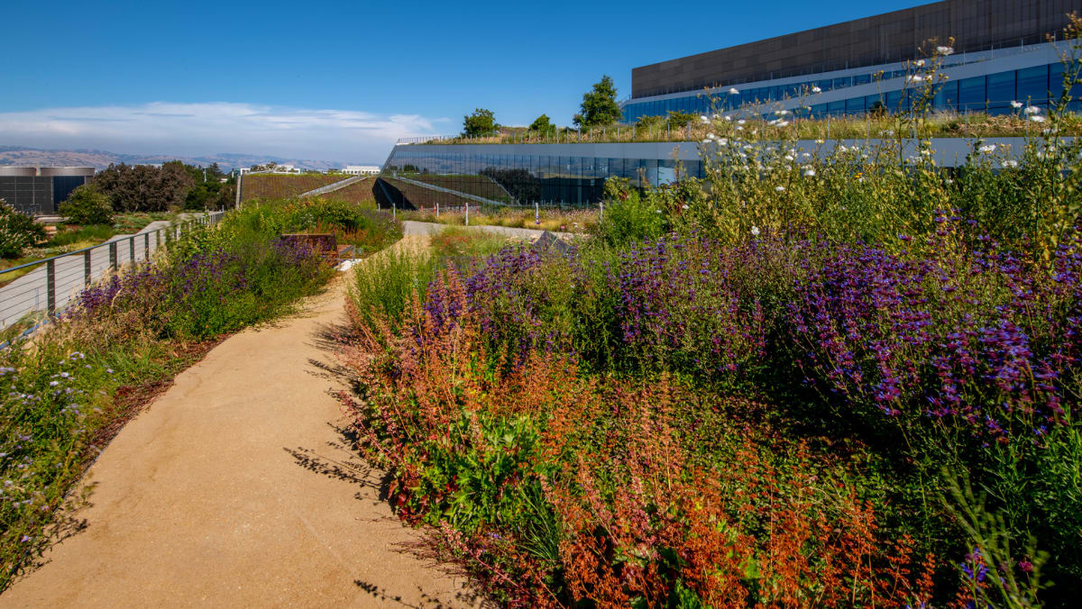Maryland Bans HOAs From Blocking Pollinator Gardens - Image 4