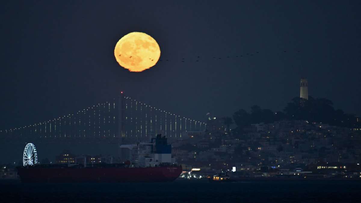 Buck Moon Dazzles Skywatchers Across the Globe - Image 5