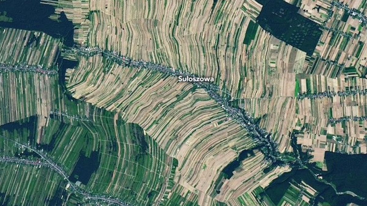 Our Solar Farms May Be Waving Hello to Alien Civilizations - Image 3