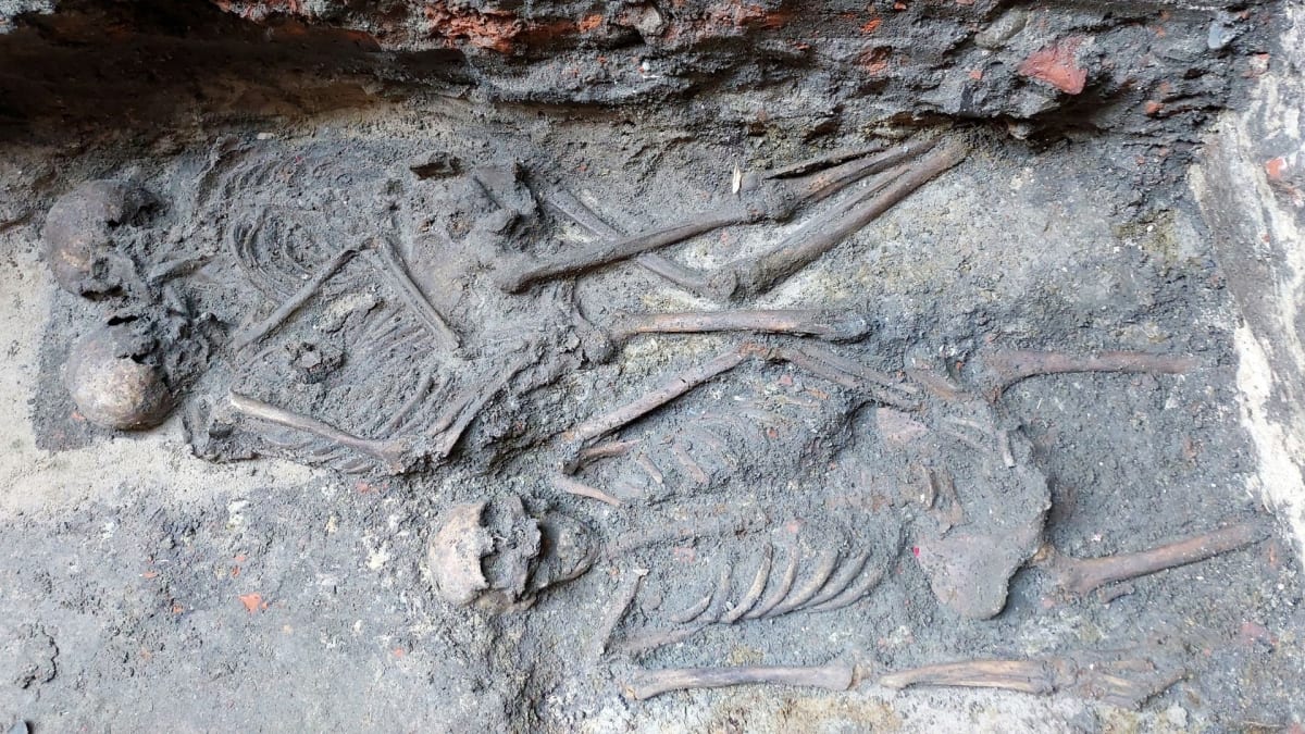 Archaeological excavation showing two medieval skeletons buried in an embrace at Polish cathedral