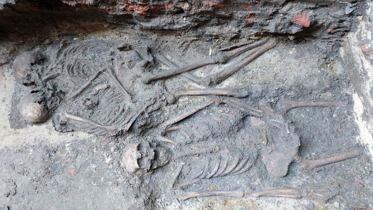 DNA Reveals Poland's 800-Year-Old Burial Mystery - Image 2