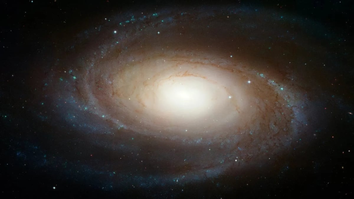 Spring Nights Bring Best Galaxy Viewing in Months - Image 5