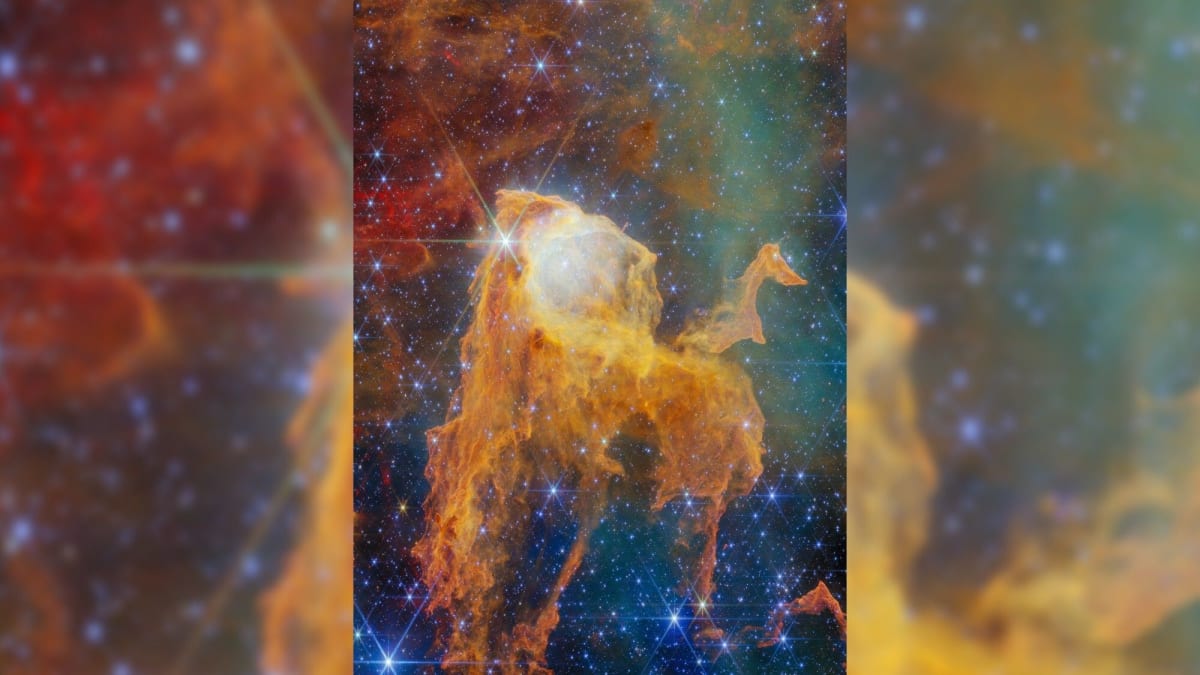 Webb Telescope Finds 70 Baby Stars in Cosmic Treasure Chest