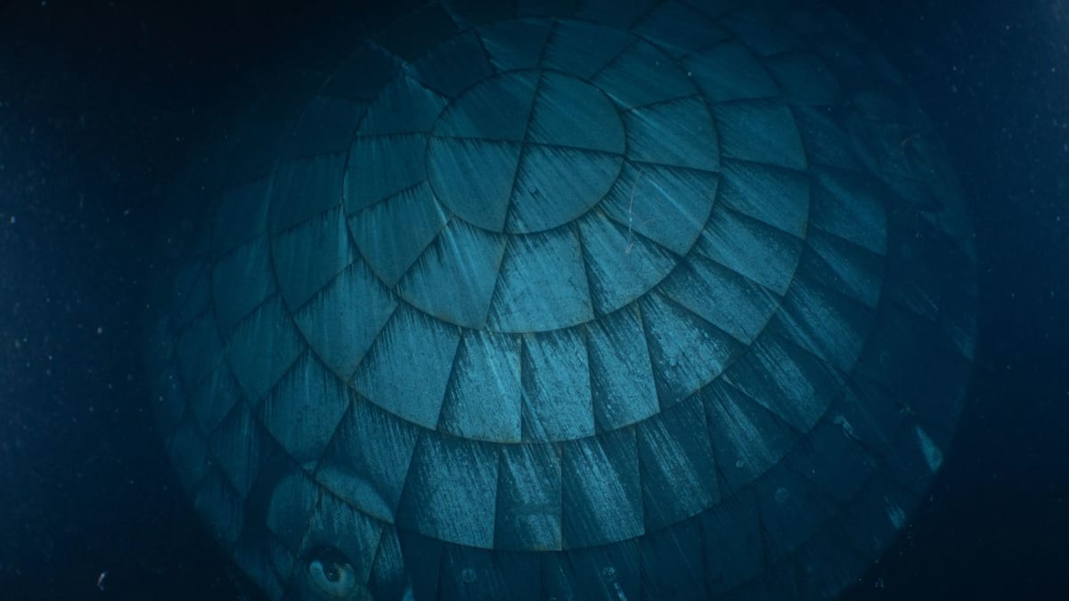 NASA's Artemis II Heat Shield Survives Fiery Reentry Test