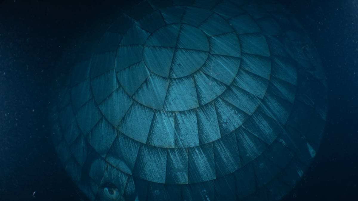 NASA's Artemis II Heat Shield Survives Fiery Reentry Test - Image 2