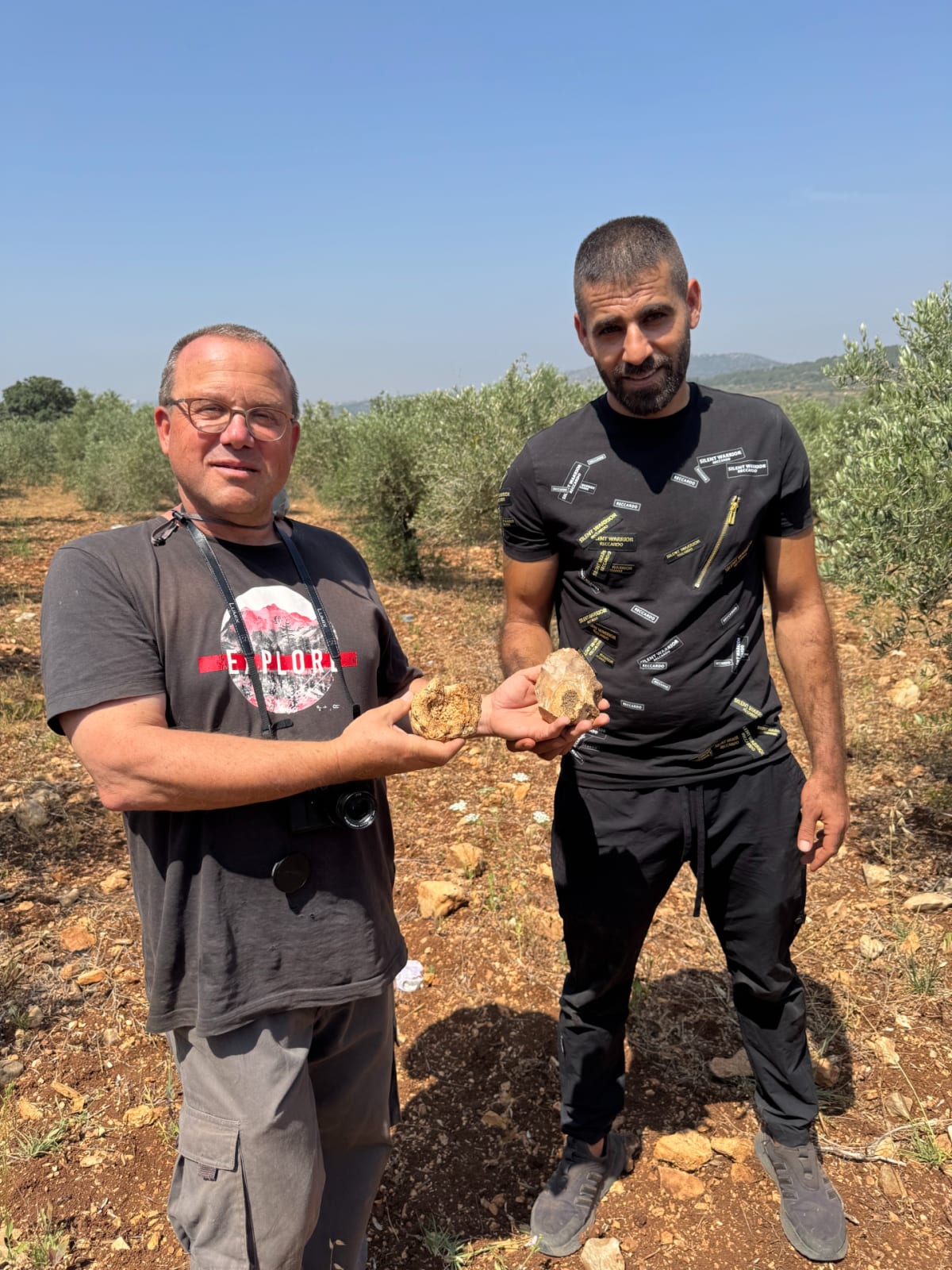 Ancient Humans Treasured Fossils 500,000 Years Ago - Image 3