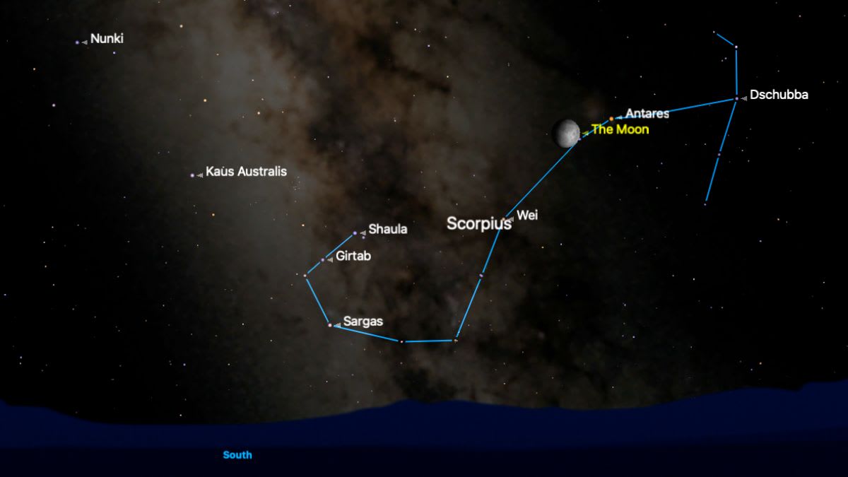 Three Stars Make Summer Skies Easy for Everyone - Image 5