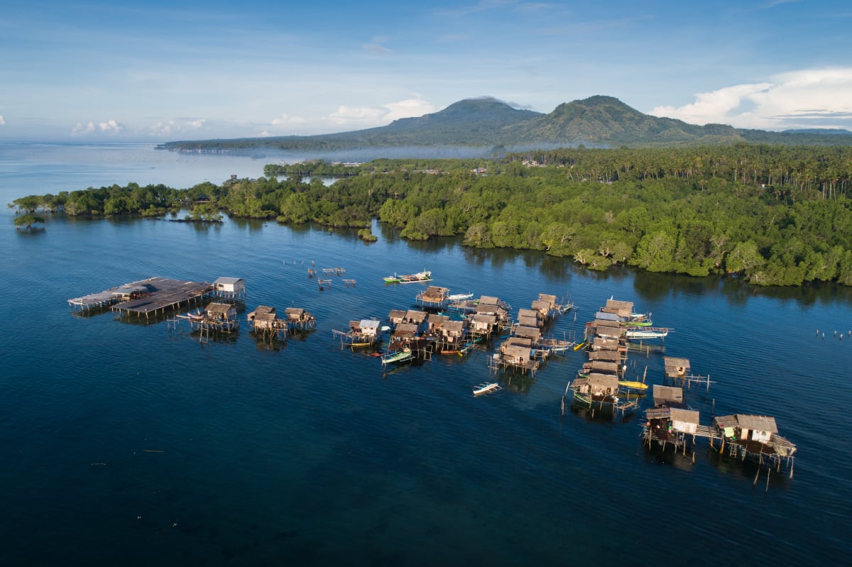 Why Humans Thrive Anywhere: Our Adaptability Superpower - Image 4