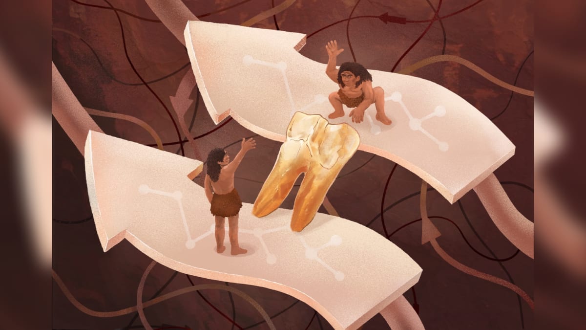 Scientists Link 400,000-Year-Old Human Ancestor to Us - Image 2