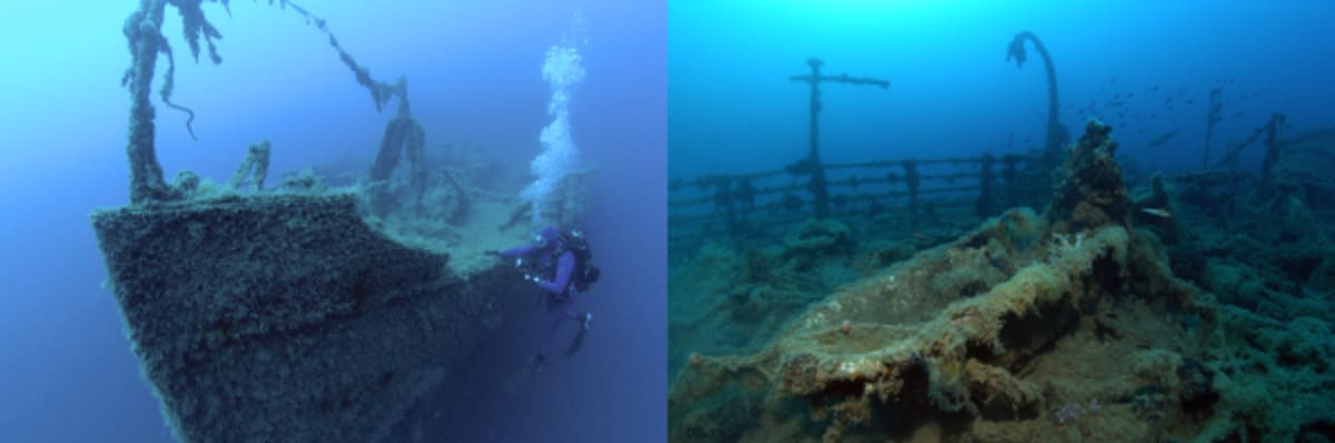WWII Shipwreck Saves Rare Monk Seals Off Albania - Image 3