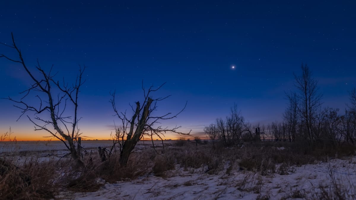 Venus Lights Up Summer Skies Starting This Month - Image 4
