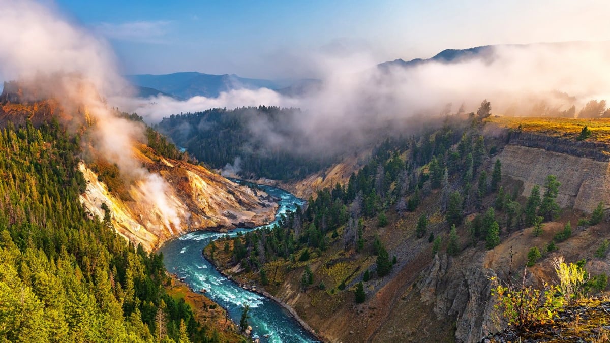 Scientists Discover Good Tipping Points Can Heal Ecosystems