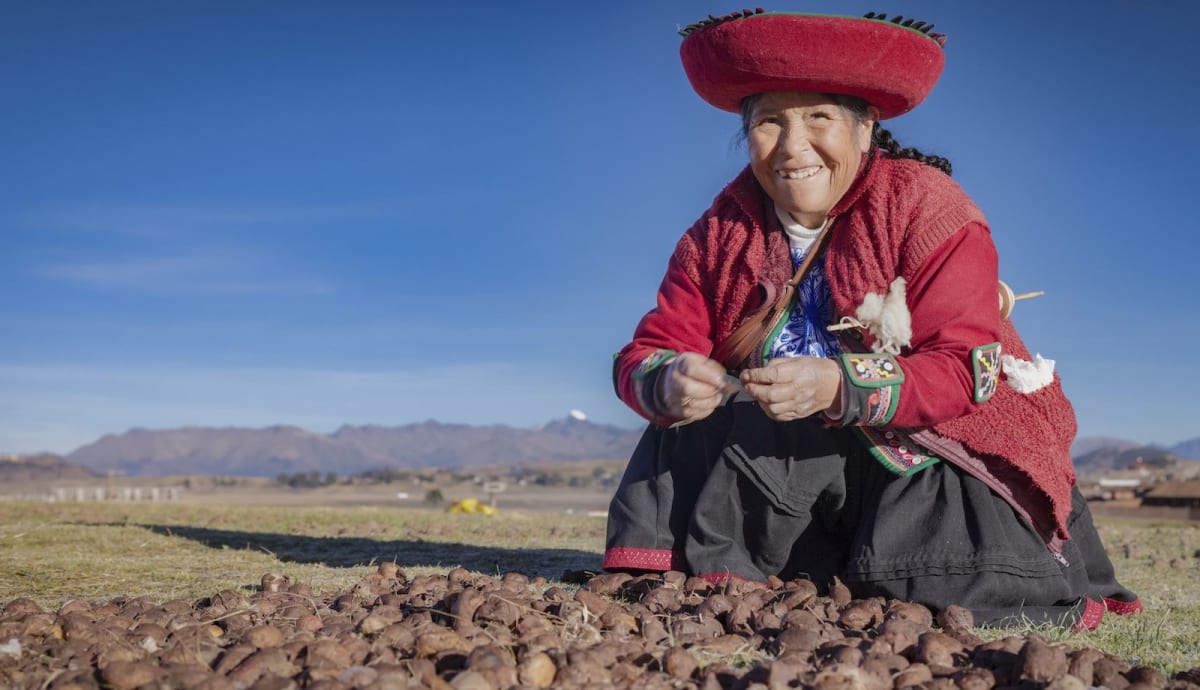 Ancient Potatoes Made Andeans Best Starch Digesters on Earth