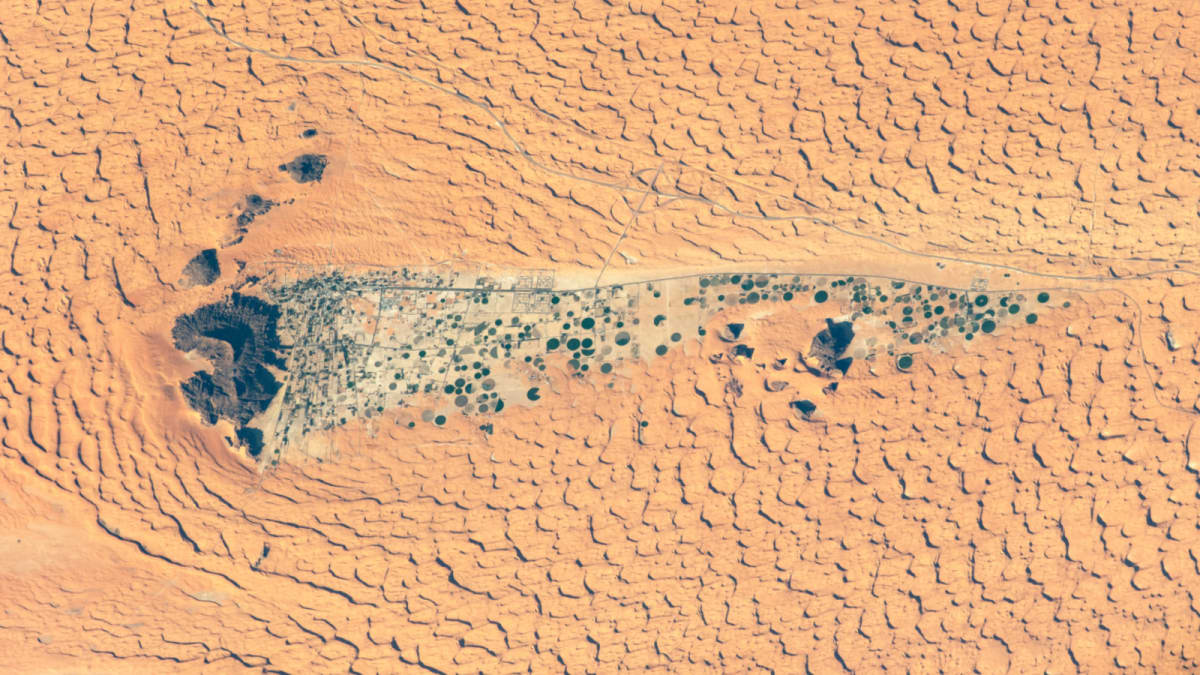 Sahara's Stone Rings Hide 1,000-Year Cattle Tradition - Image 5