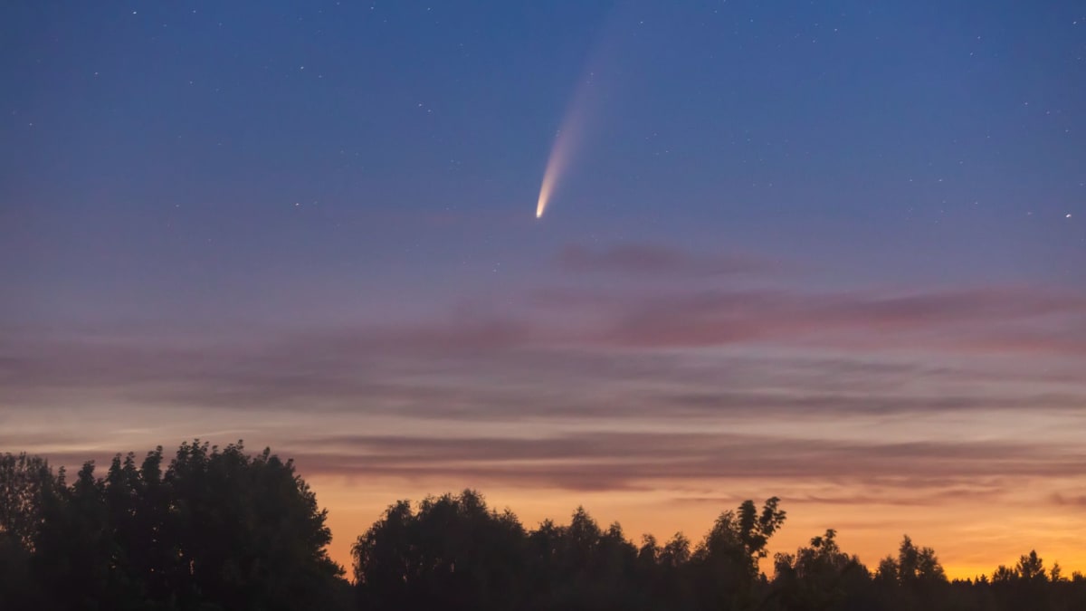 Bright comet with glowing tail streaking across dark predawn sky above horizon