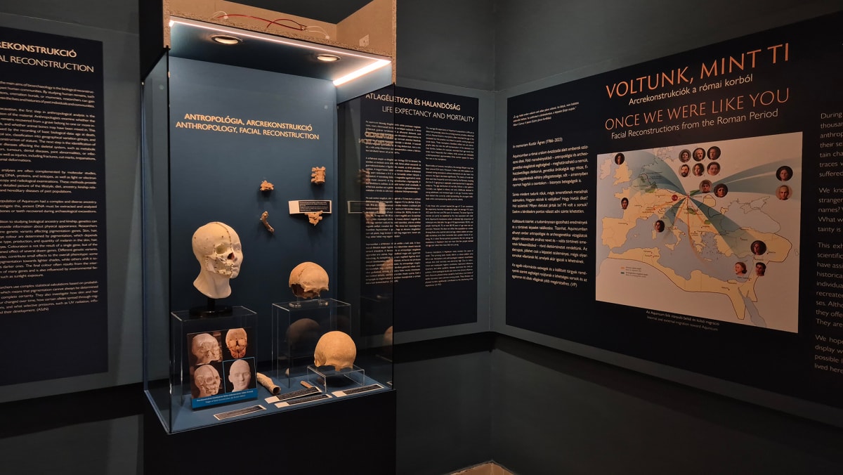 16 Ancient Roman Faces Brought to Life in Budapest Museum - Image 4