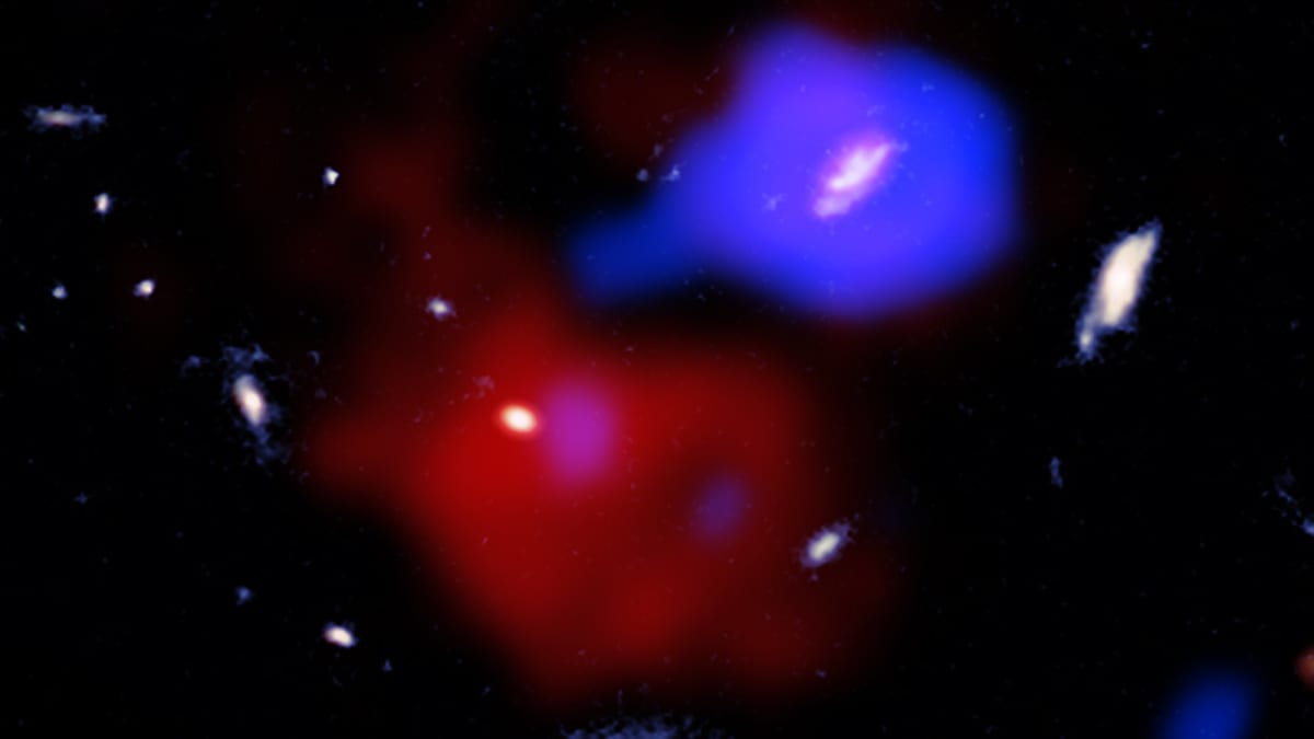 Black Hole's Jet Is Stirring a 'Red Potato' Galaxy