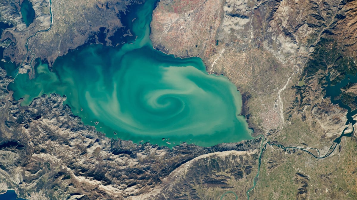 Australian Lakes Merge Into 55-Mile Green Wonder - Image 4