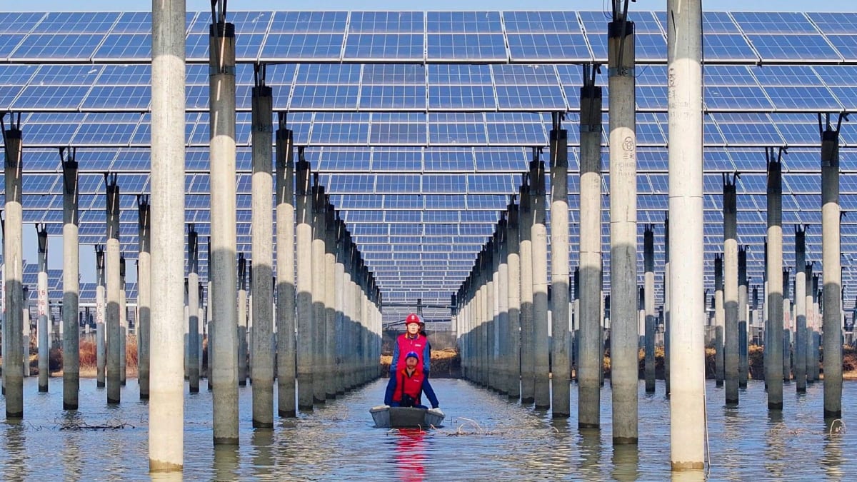Vast field of blue solar panels stretching across Chinese landscape under bright sky