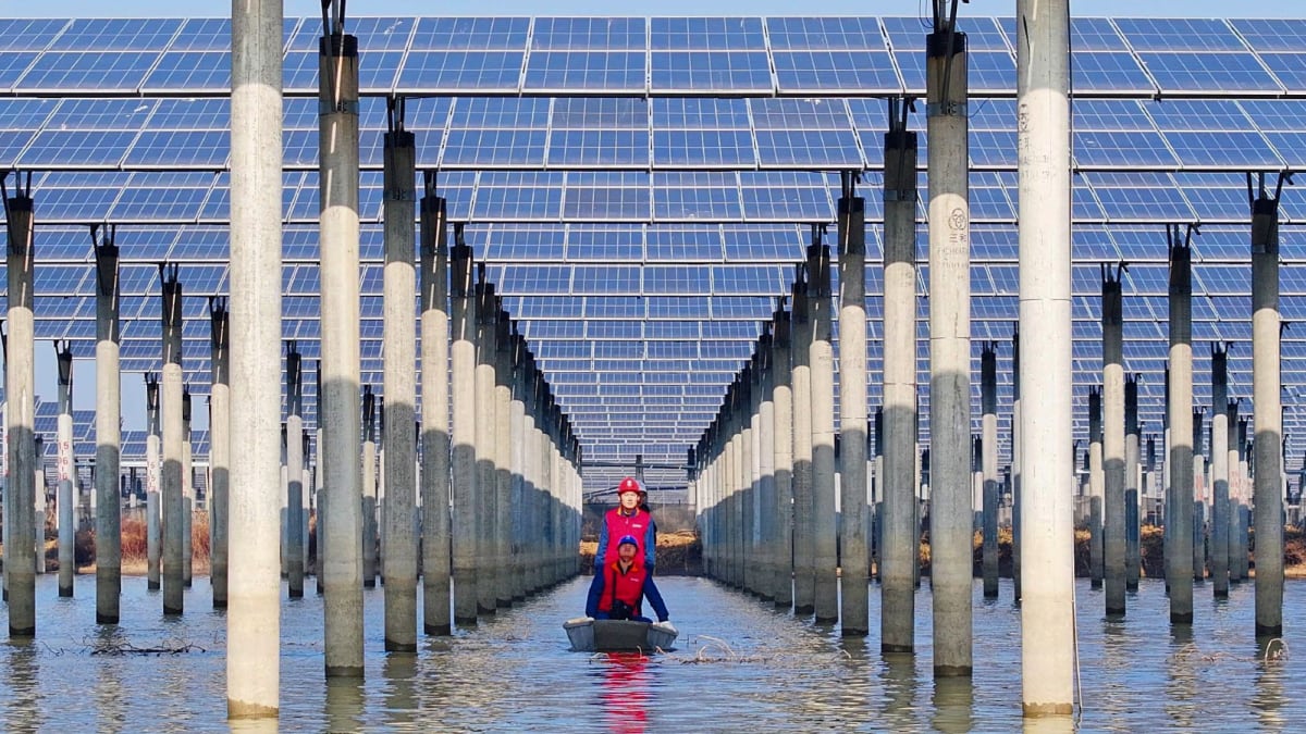China's Solar Boom Cuts Panel Prices 90% Worldwide - Image 2